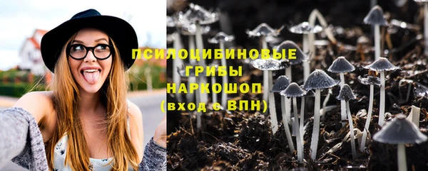 первитин Ельня