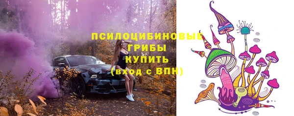 первитин Ельня