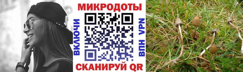 Купить где Пролетарск Псилоцибиновые грибы GOLDEN TEACHER