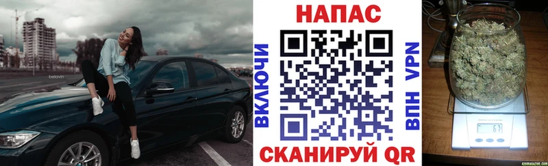 Бошки Шишки гибрид Пролетарск
